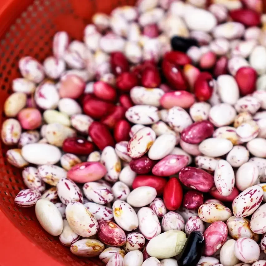 red, beans, basket-932689.jpg